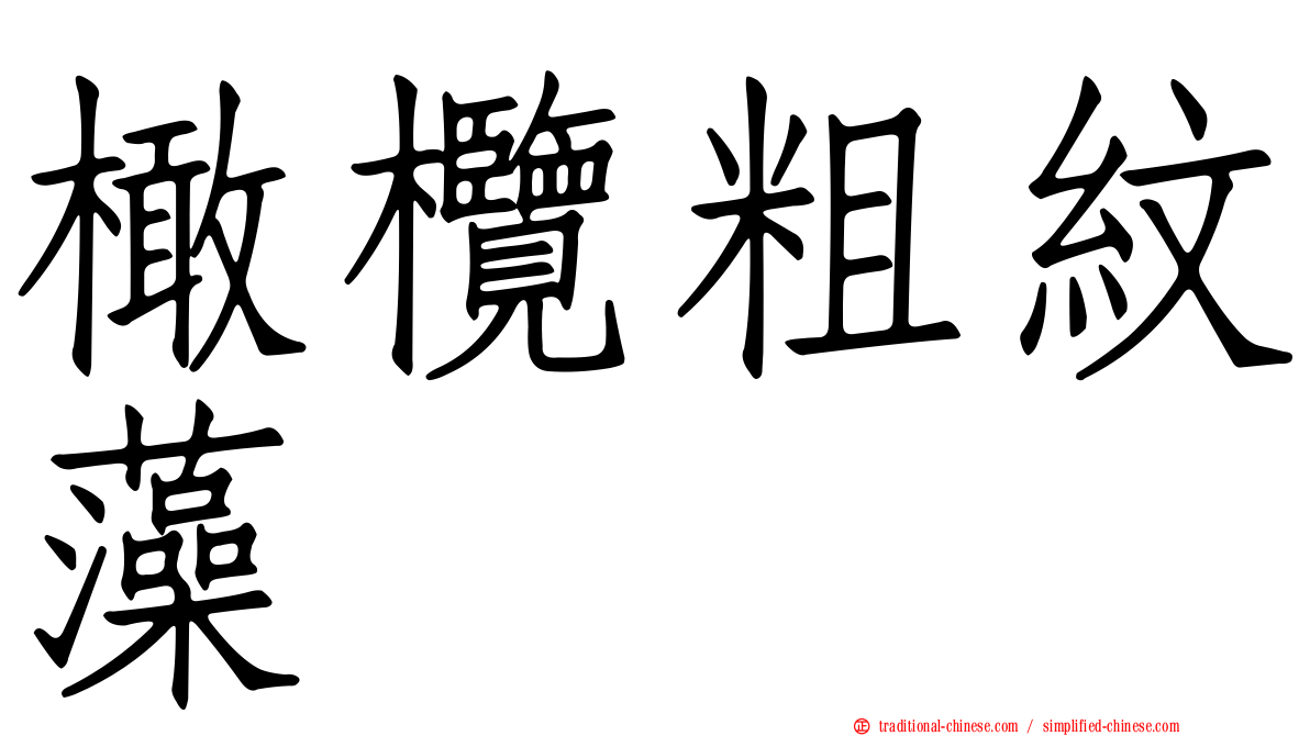 橄欖粗紋藻