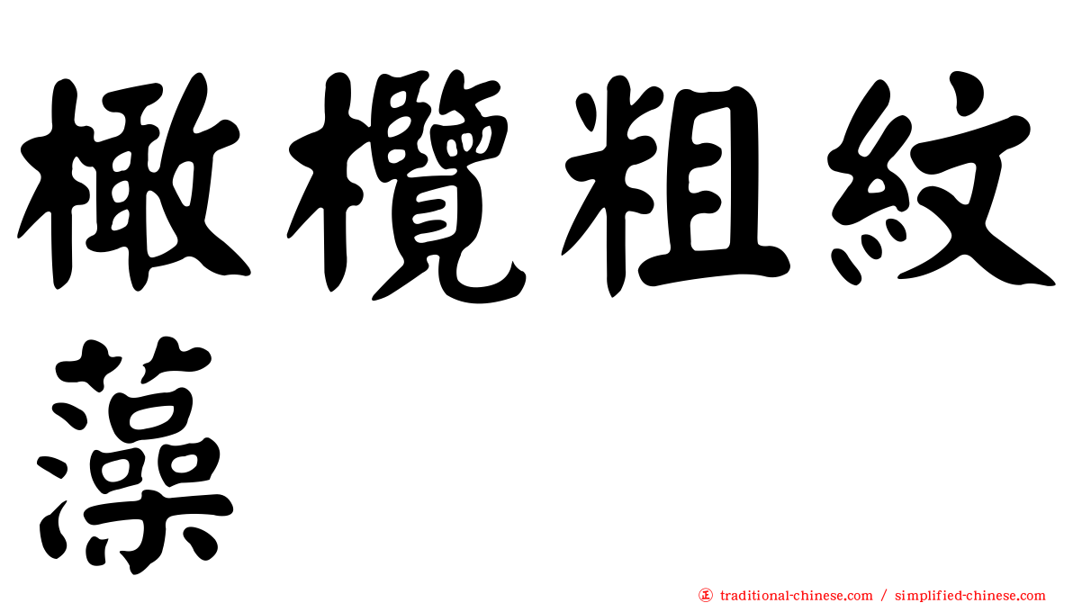 橄欖粗紋藻