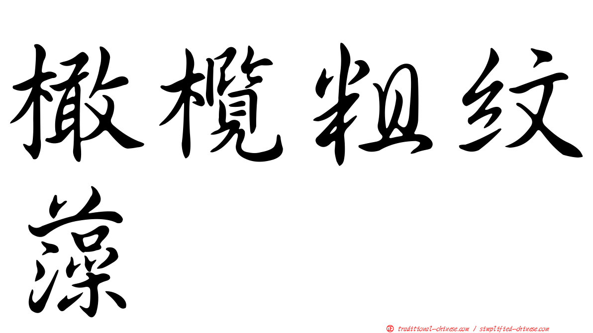 橄欖粗紋藻