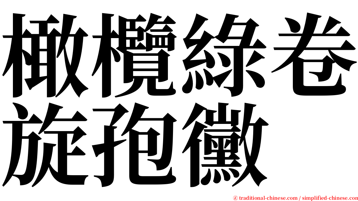 橄欖綠卷旋孢黴 serif font