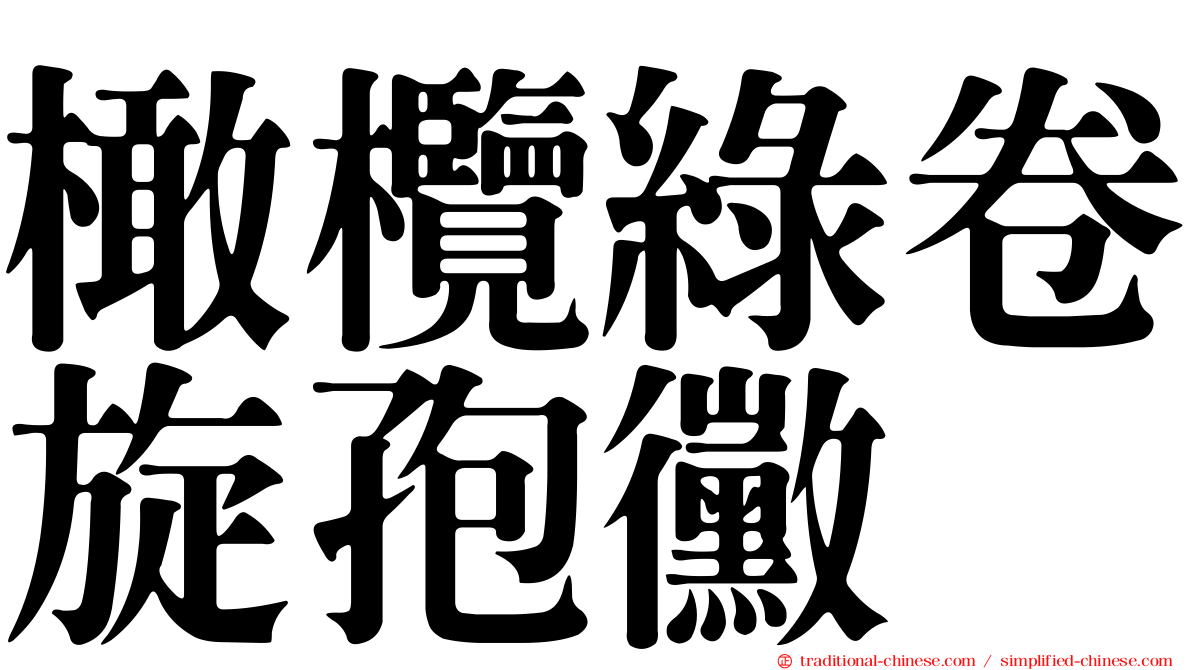 橄欖綠卷旋孢黴