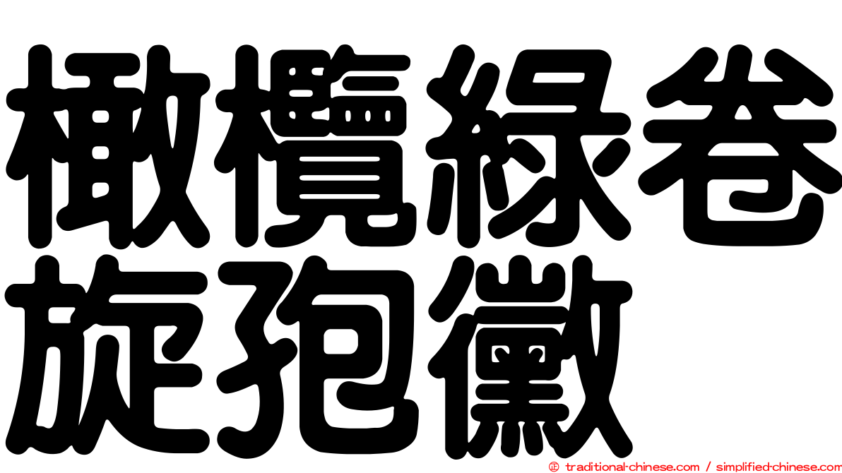 橄欖綠卷旋孢黴
