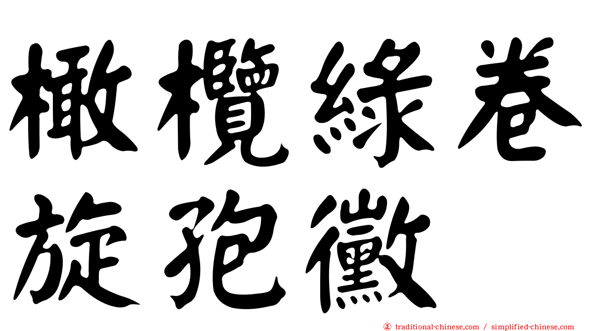 橄欖綠卷旋孢黴