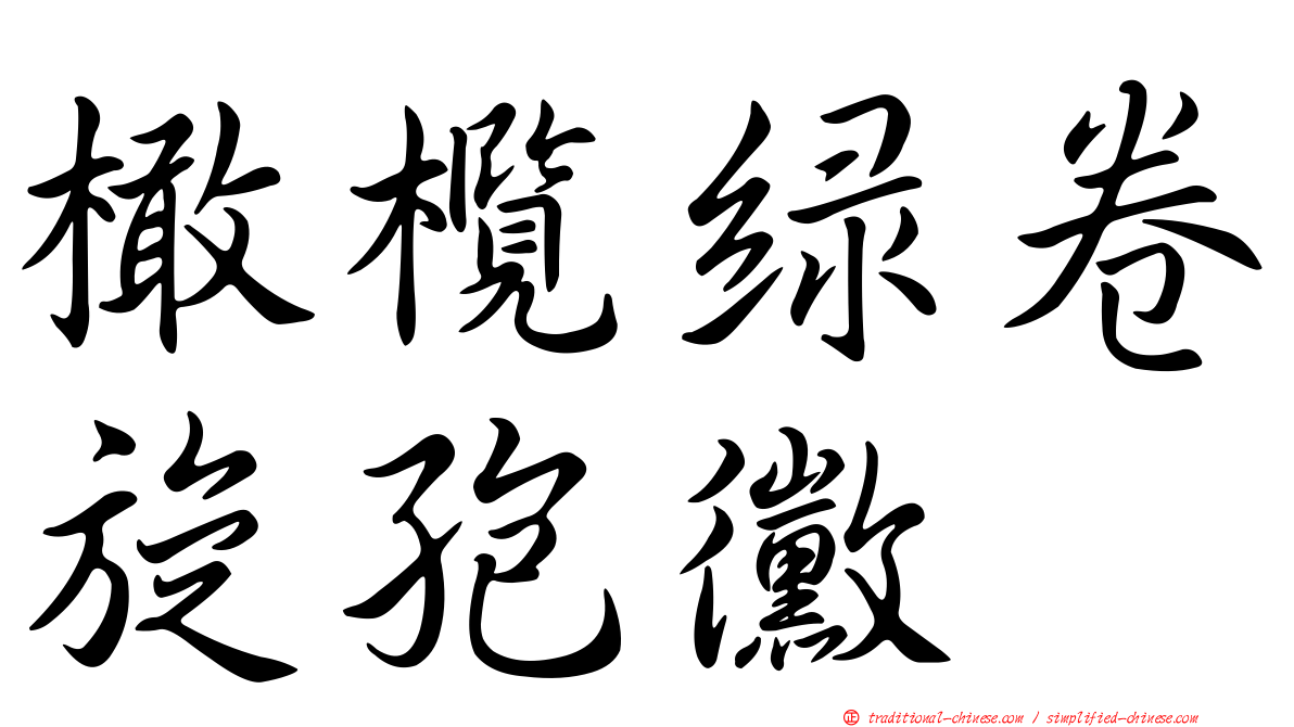 橄欖綠卷旋孢黴
