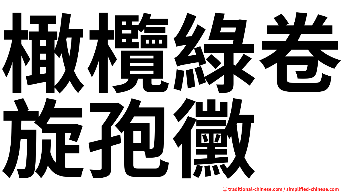 橄欖綠卷旋孢黴