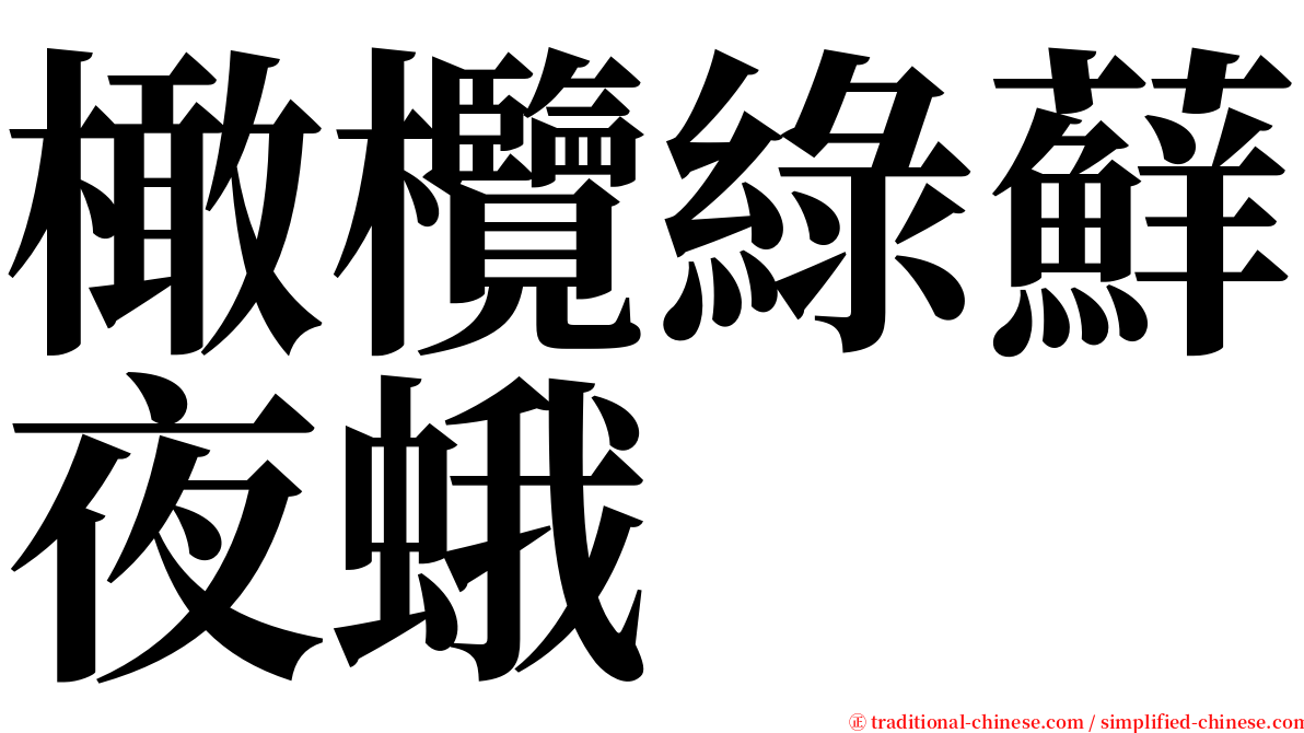 橄欖綠蘚夜蛾 serif font