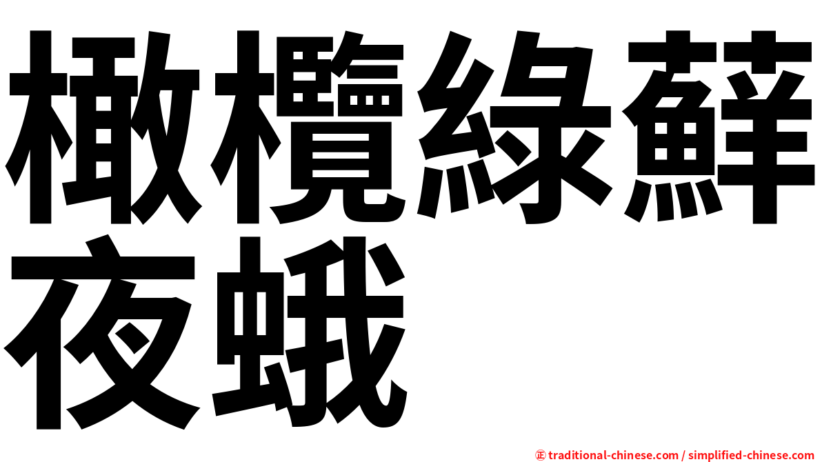橄欖綠蘚夜蛾