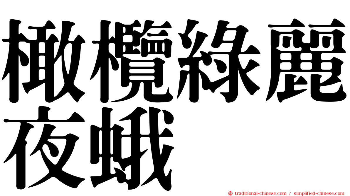 橄欖綠麗夜蛾