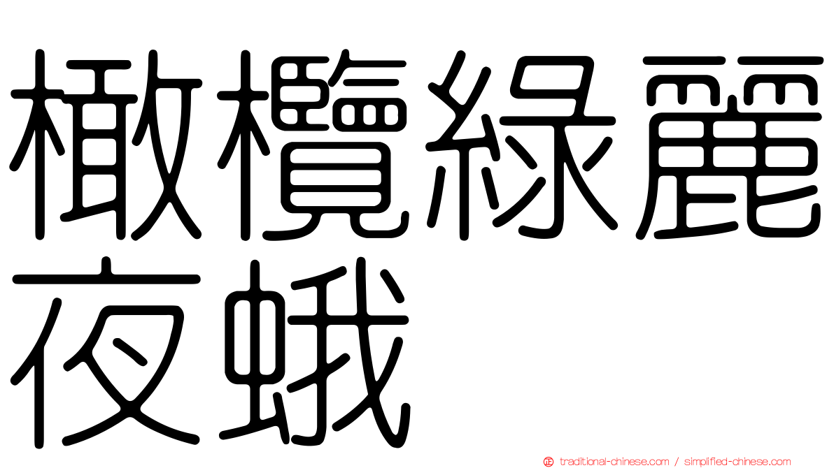 橄欖綠麗夜蛾