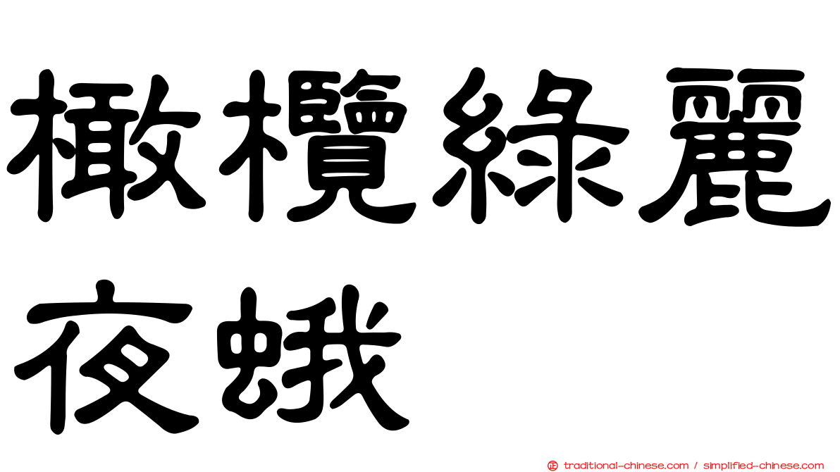 橄欖綠麗夜蛾