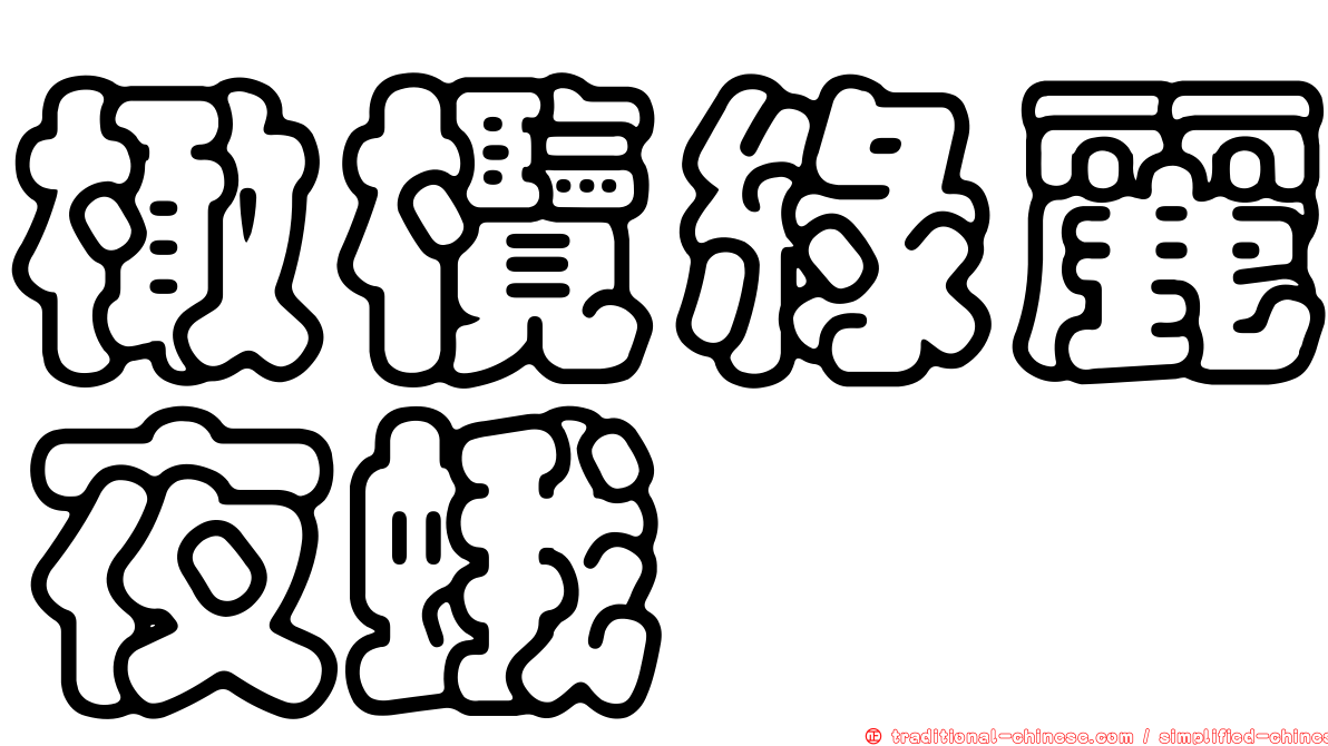 橄欖綠麗夜蛾
