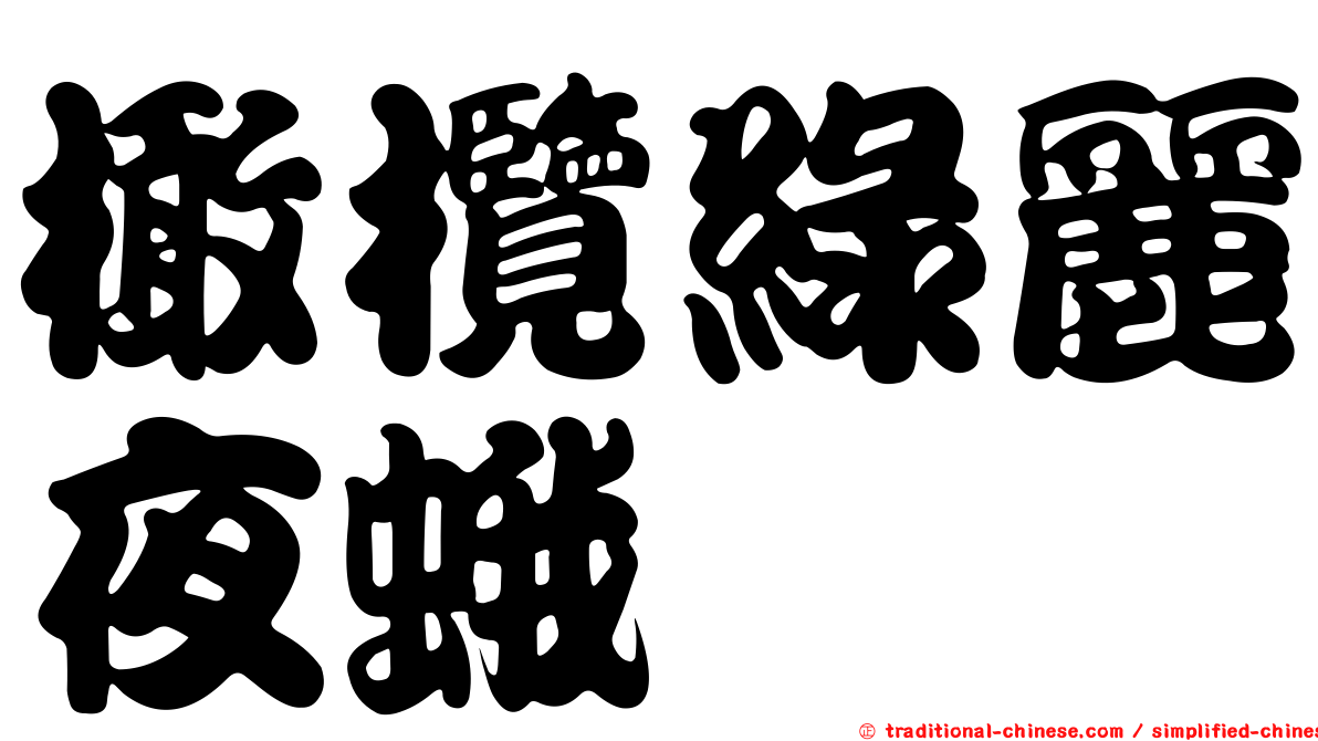 橄欖綠麗夜蛾