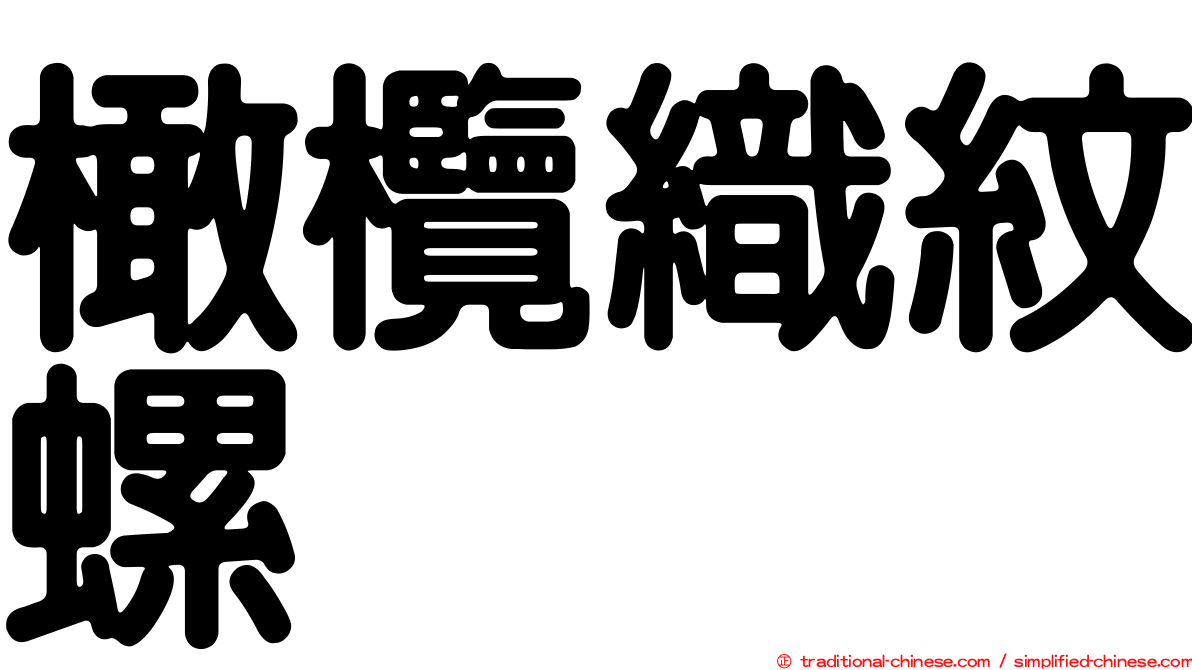 橄欖織紋螺