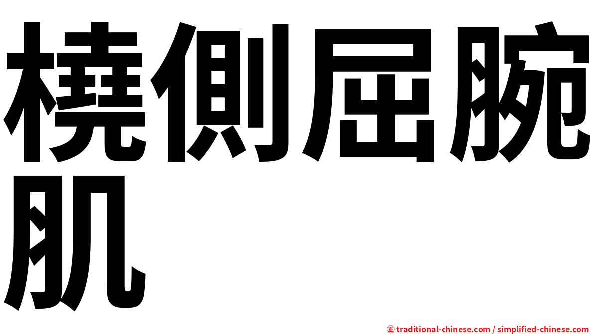 橈側屈腕肌