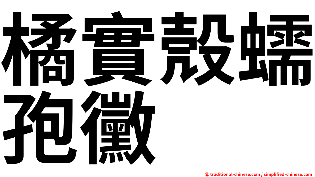 橘實殼蠕孢黴