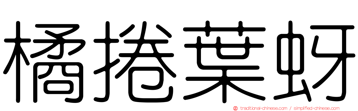 橘捲葉蚜