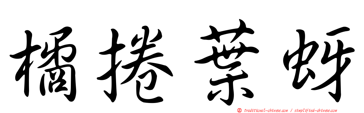 橘捲葉蚜