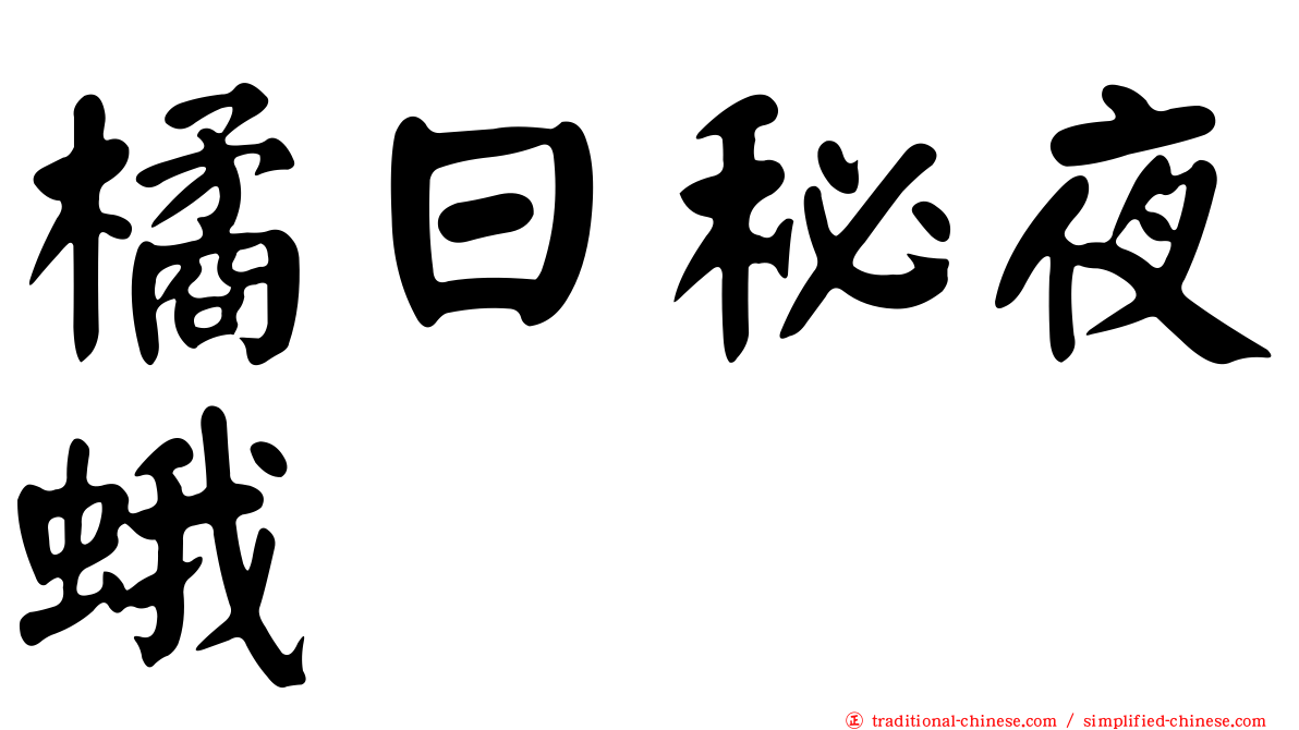 橘日秘夜蛾