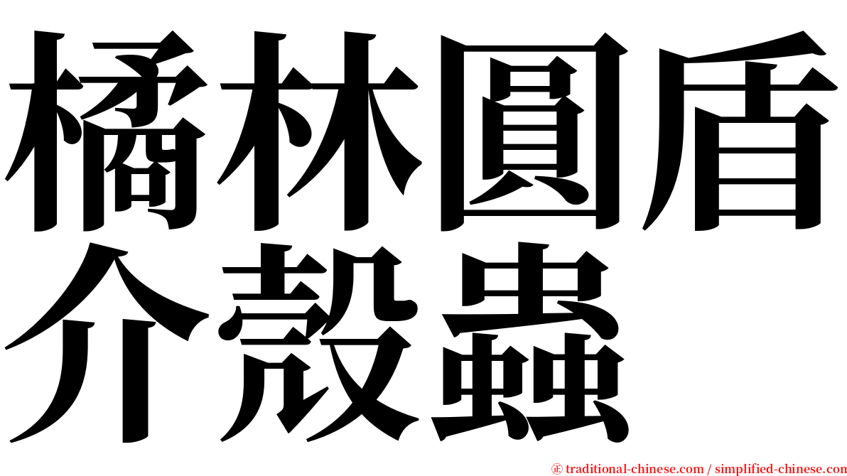 橘林圓盾介殼蟲 serif font