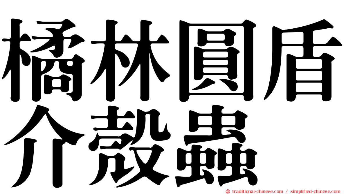 橘林圓盾介殼蟲