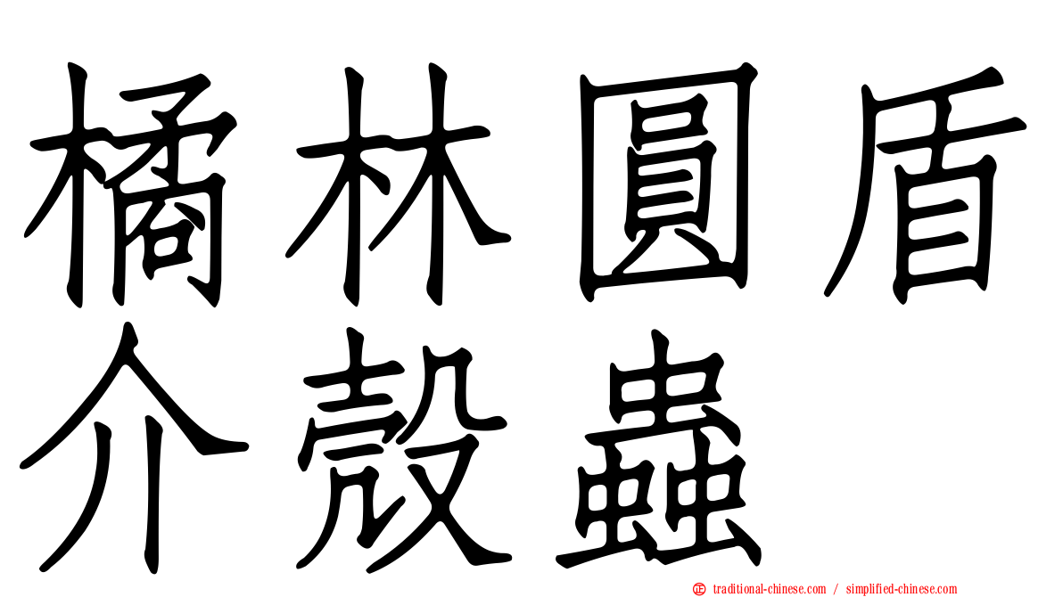 橘林圓盾介殼蟲