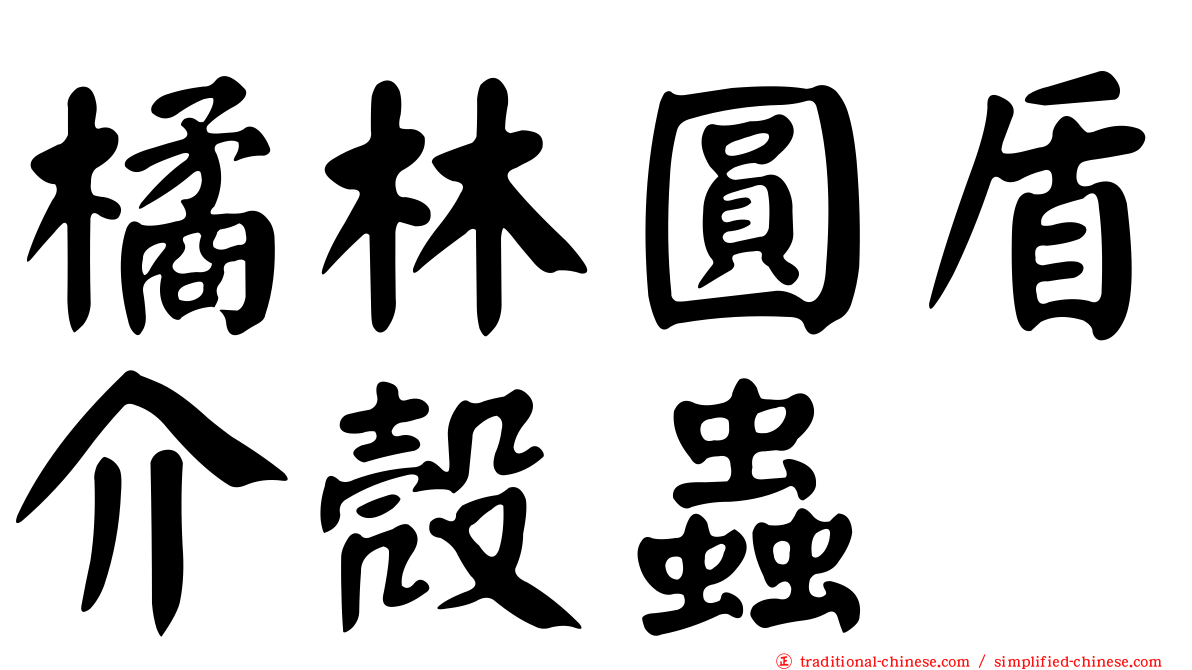 橘林圓盾介殼蟲