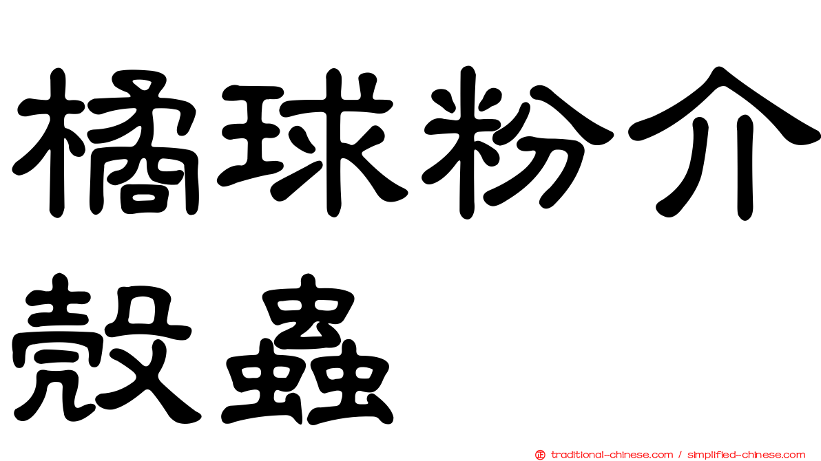橘球粉介殼蟲