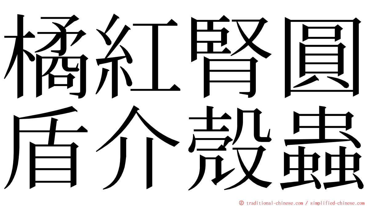 橘紅腎圓盾介殼蟲 ming font