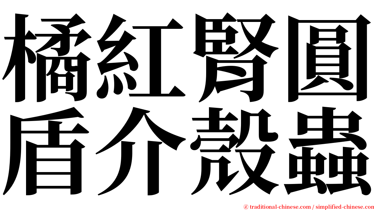 橘紅腎圓盾介殼蟲 serif font