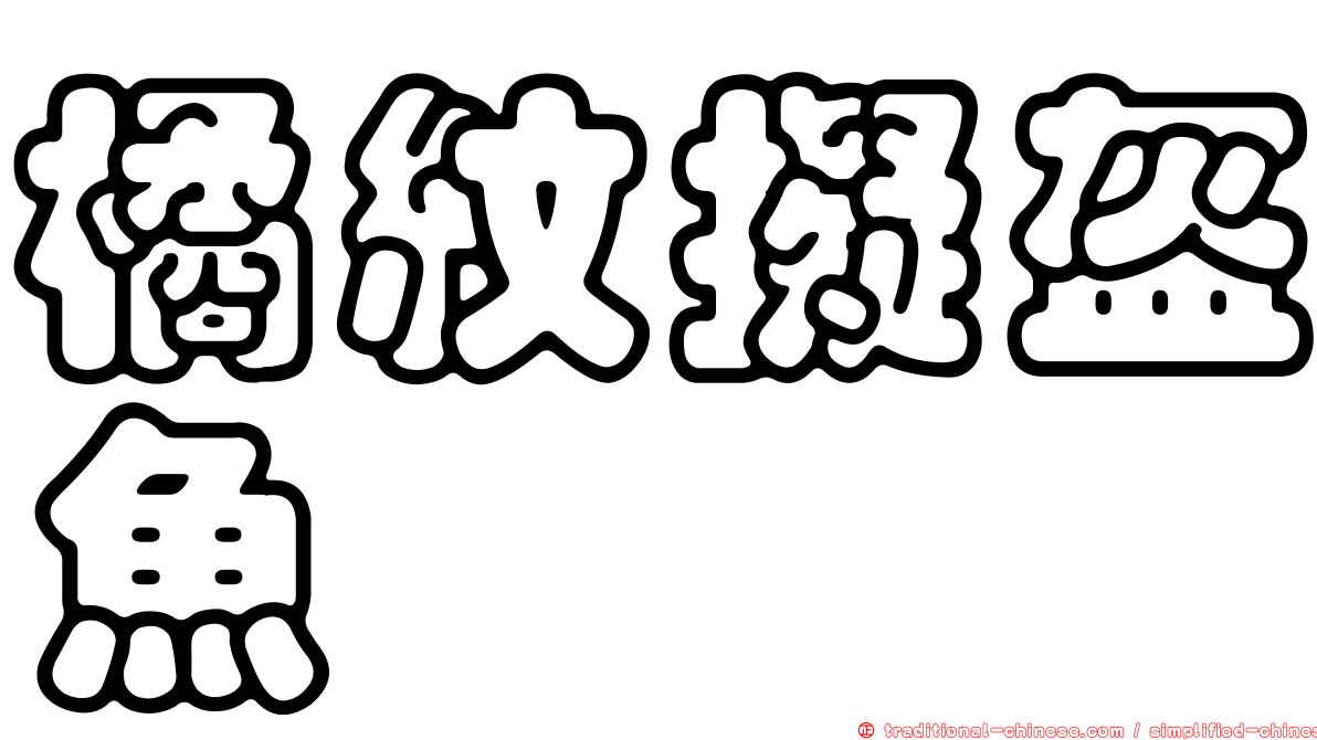 橘紋擬盔魚