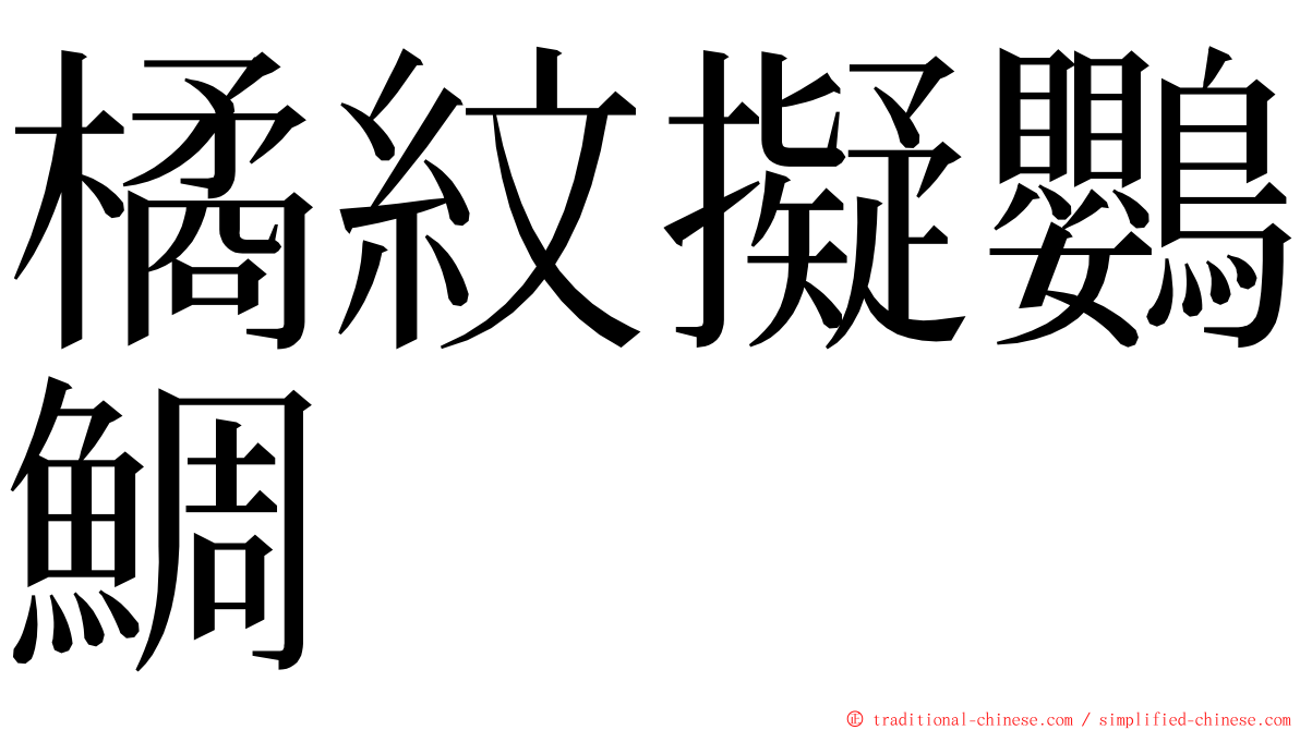 橘紋擬鸚鯛 ming font