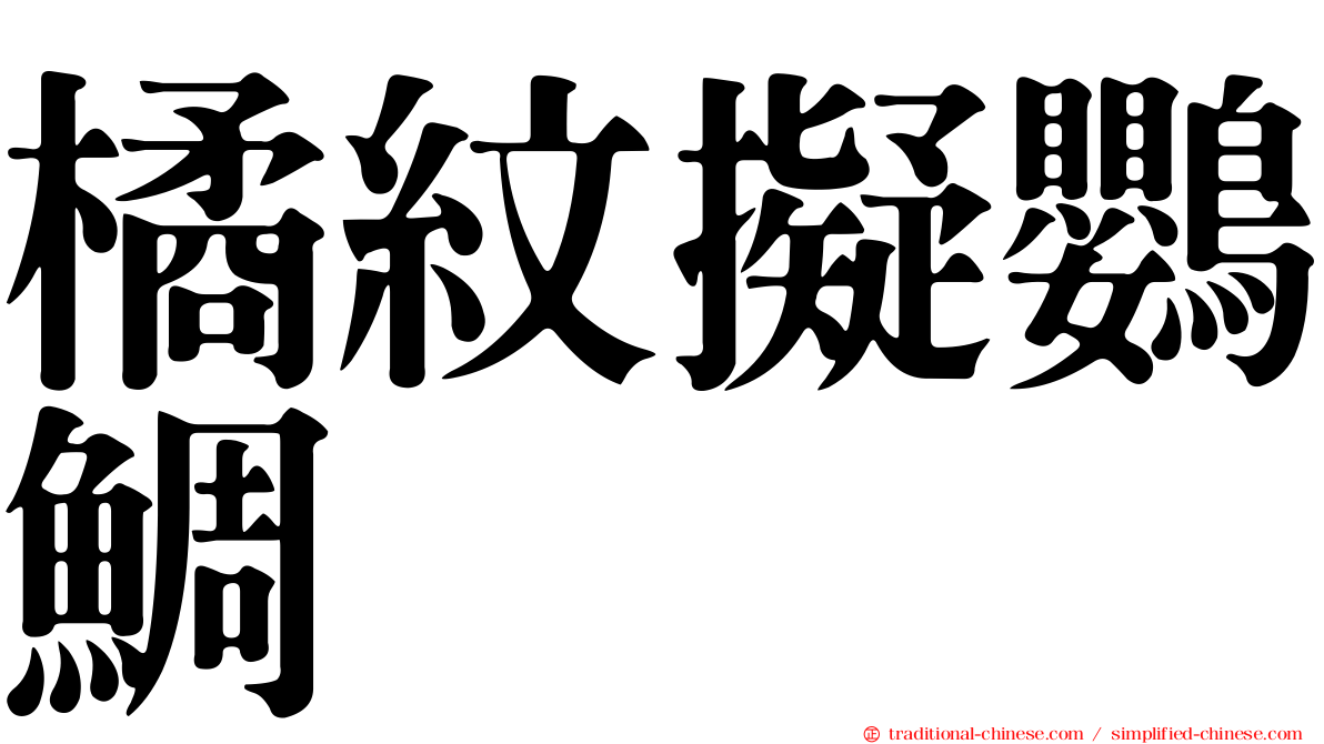 橘紋擬鸚鯛