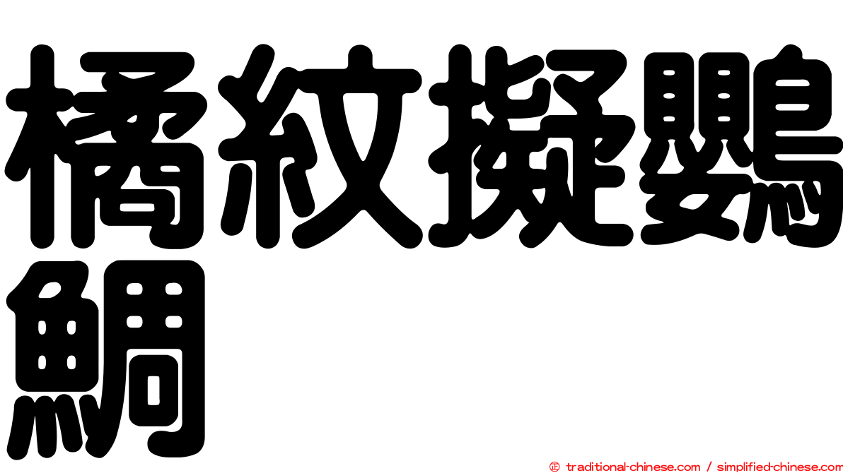 橘紋擬鸚鯛