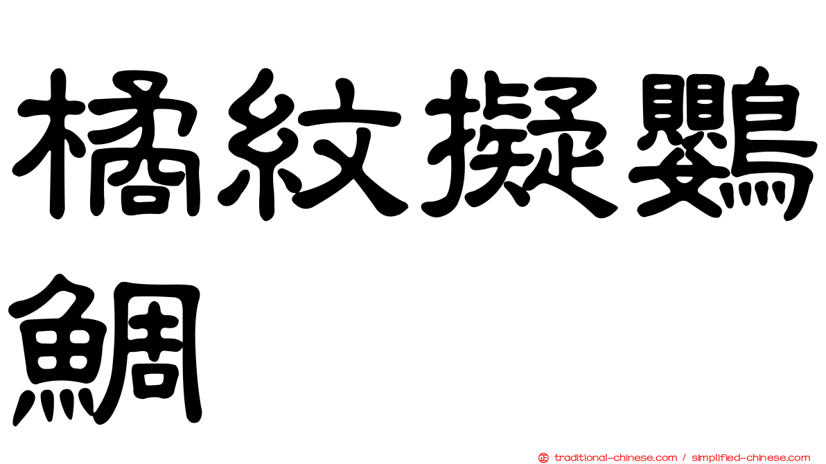 橘紋擬鸚鯛