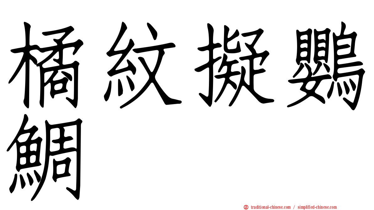 橘紋擬鸚鯛