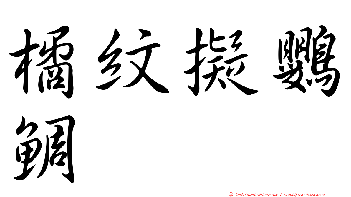 橘紋擬鸚鯛