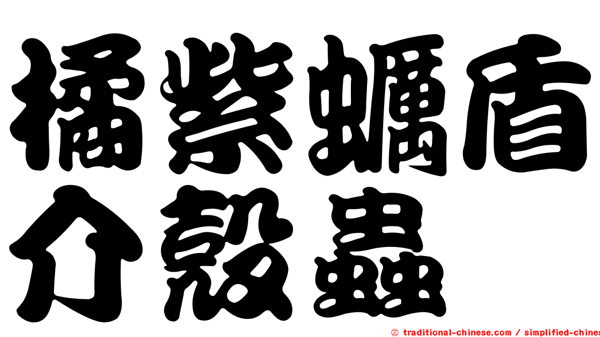 橘紫蠣盾介殼蟲