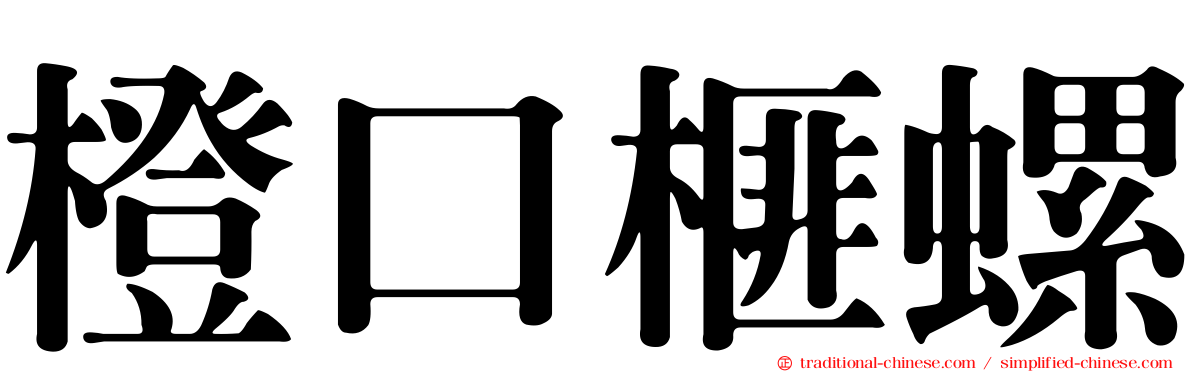 橙口榧螺
