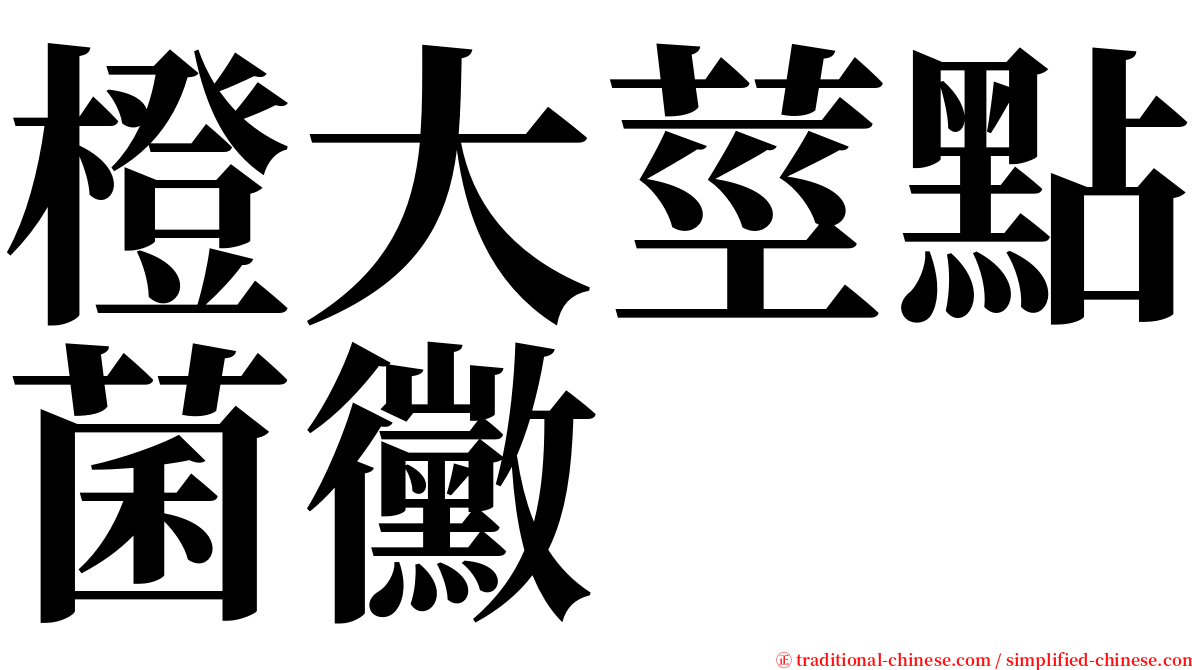 橙大莖點菌黴 serif font