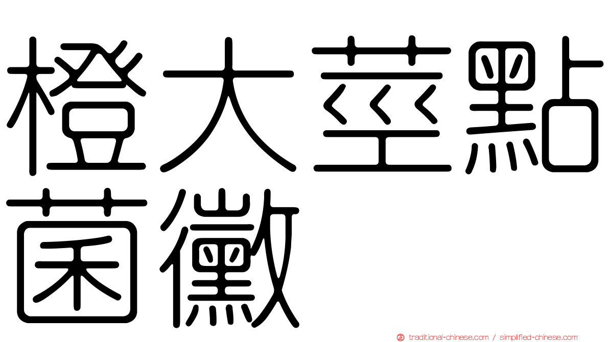 橙大莖點菌黴