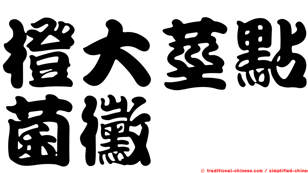 橙大莖點菌黴