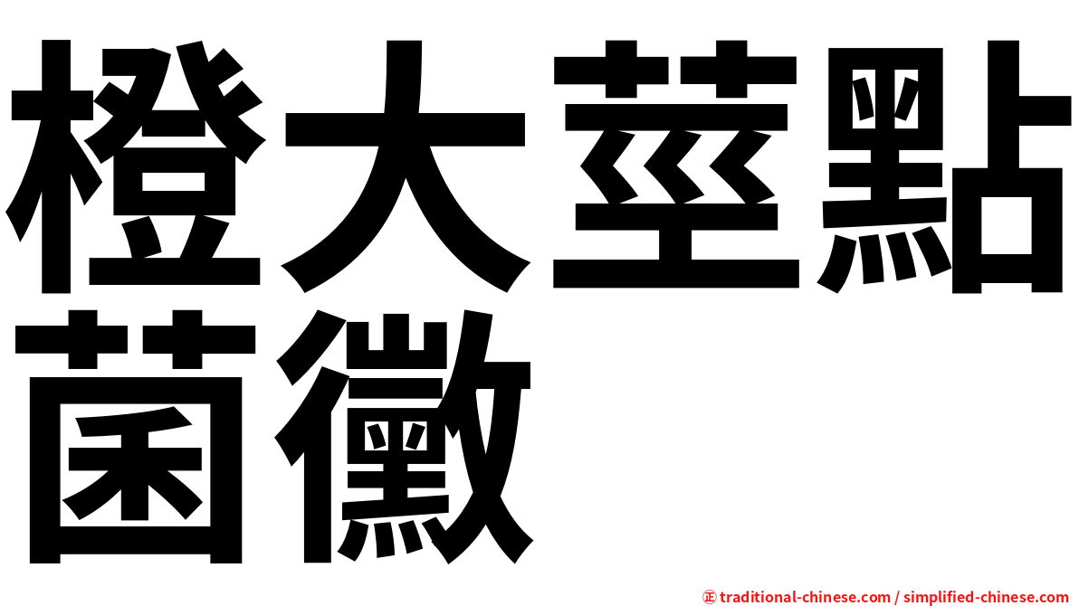 橙大莖點菌黴
