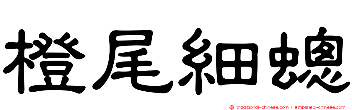 橙尾細蟌