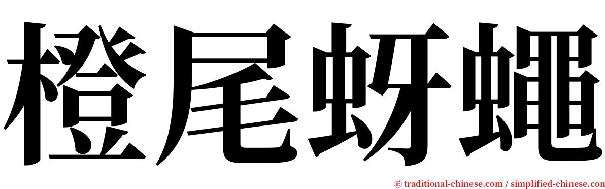 橙尾蚜蠅 serif font