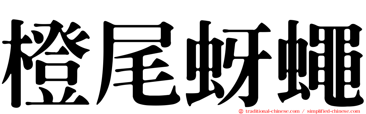 橙尾蚜蠅