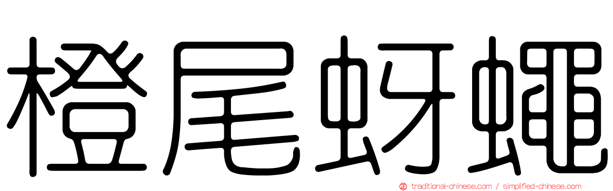 橙尾蚜蠅