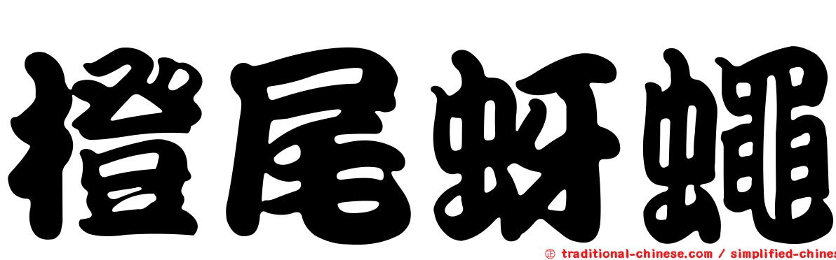 橙尾蚜蠅