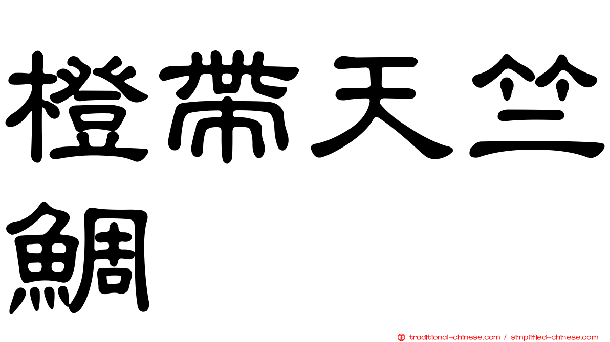 橙帶天竺鯛