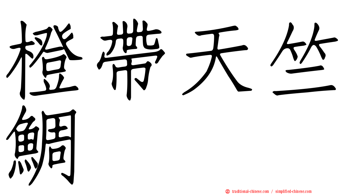 橙帶天竺鯛