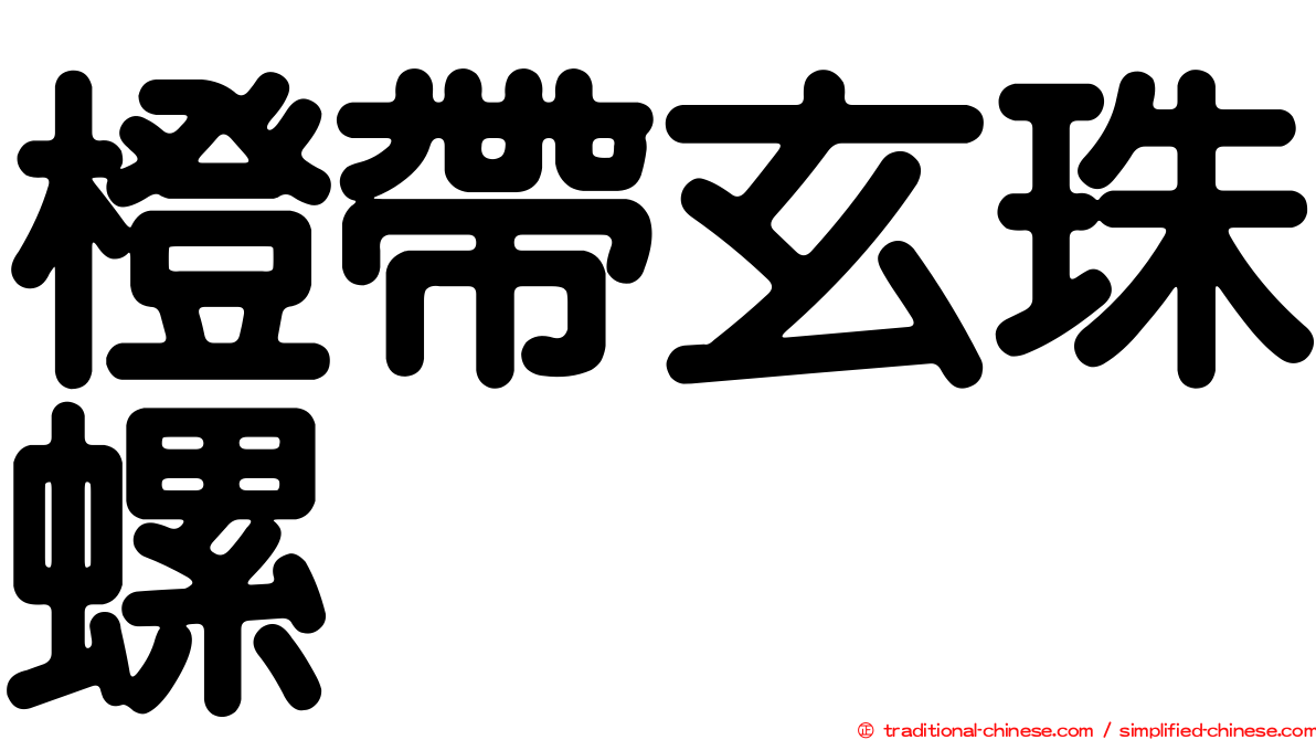 橙帶玄珠螺